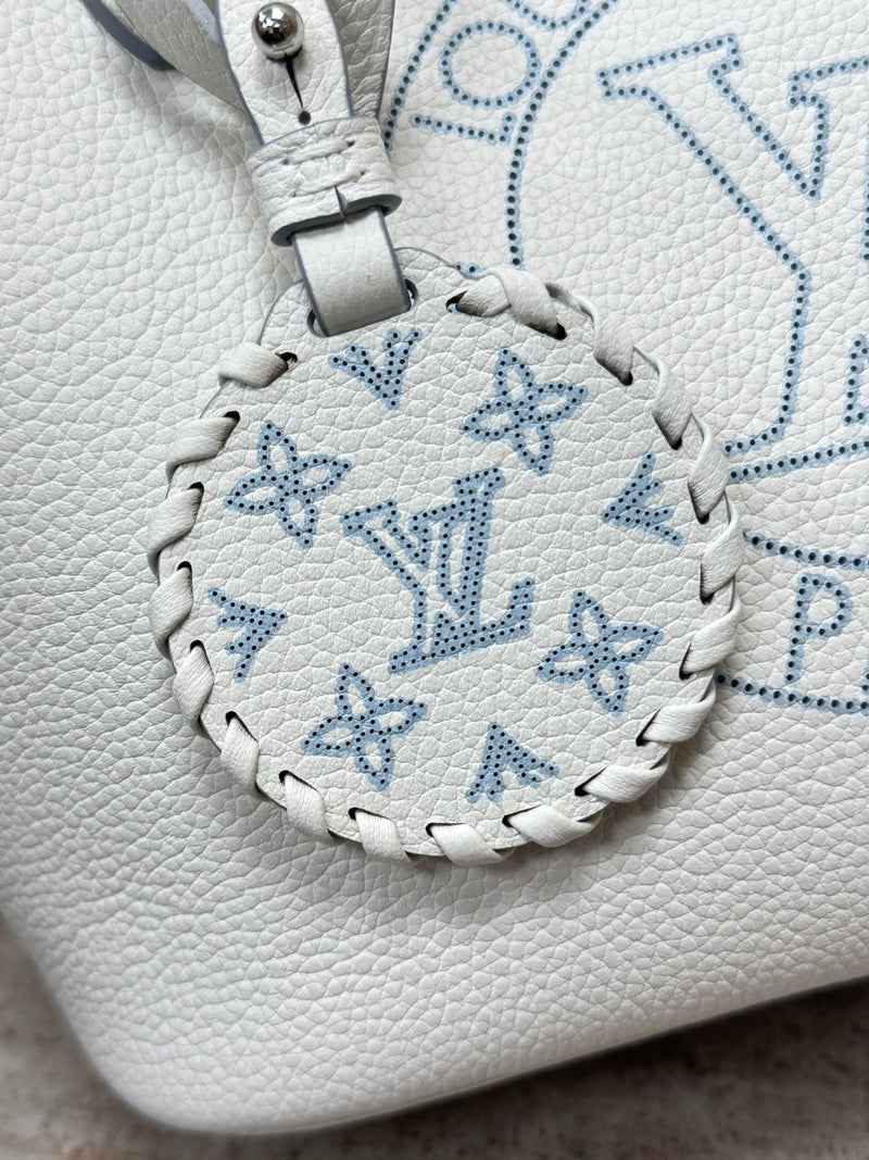 LV BAG