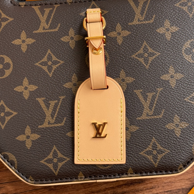 LV Bag