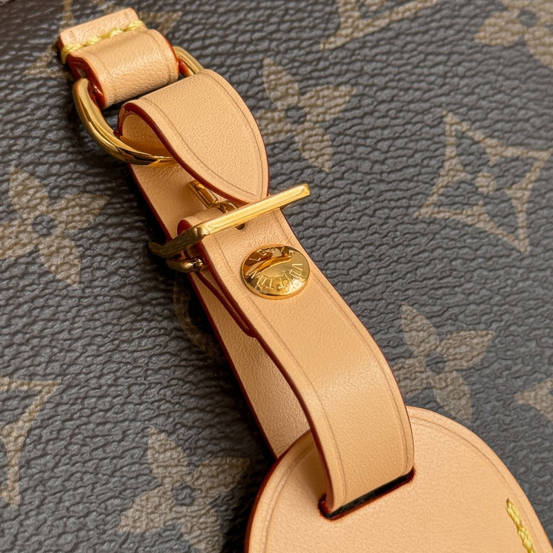 LV Bag