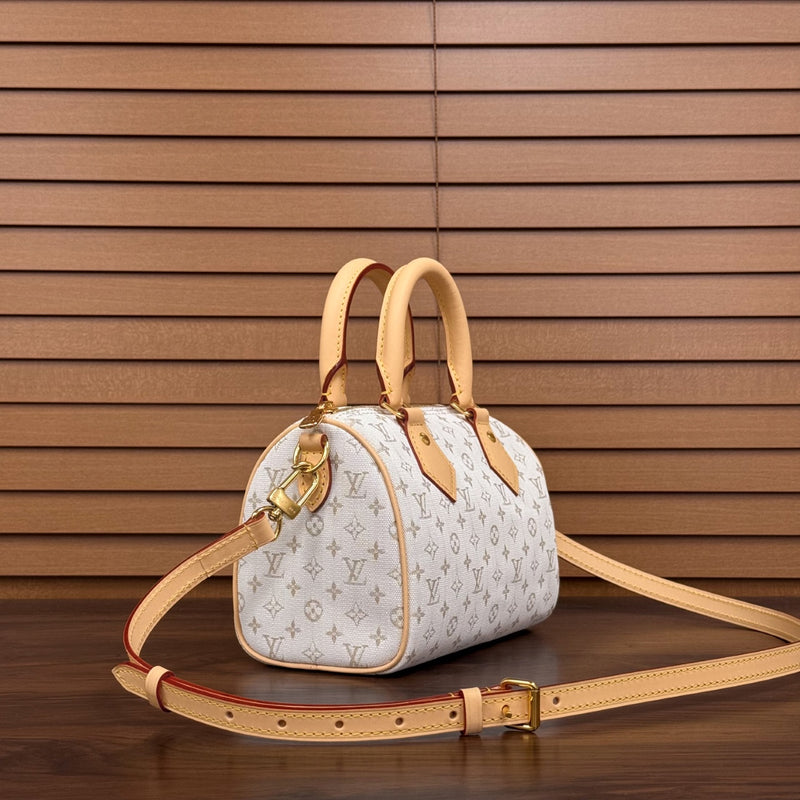 LV Bag