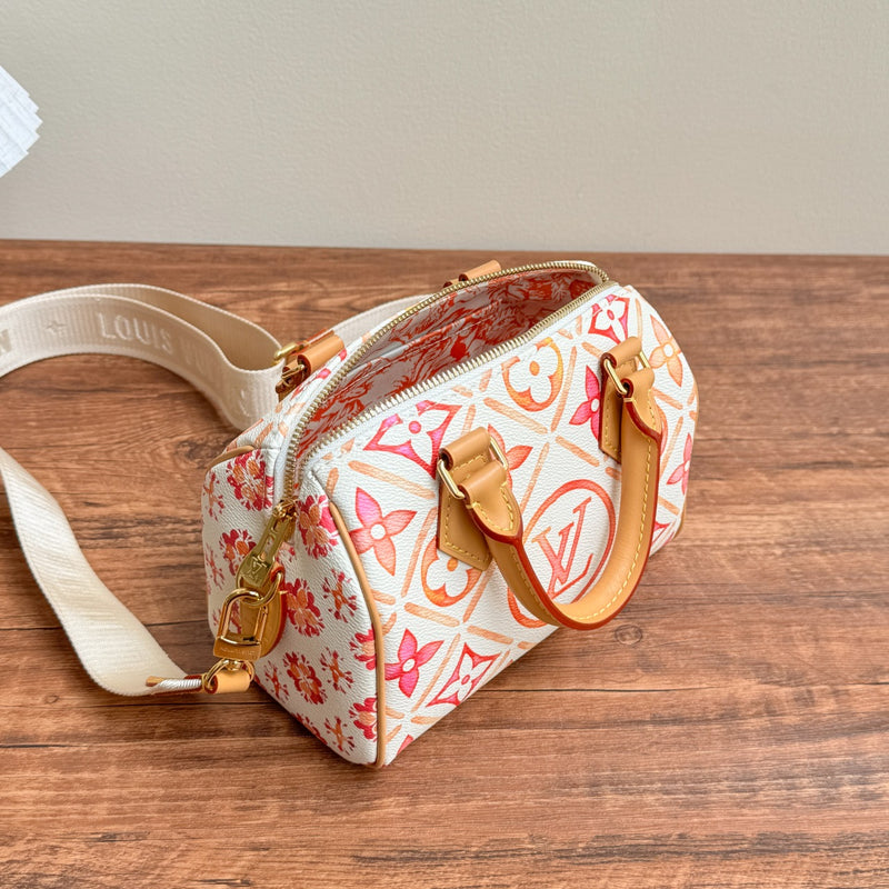 LV BAG