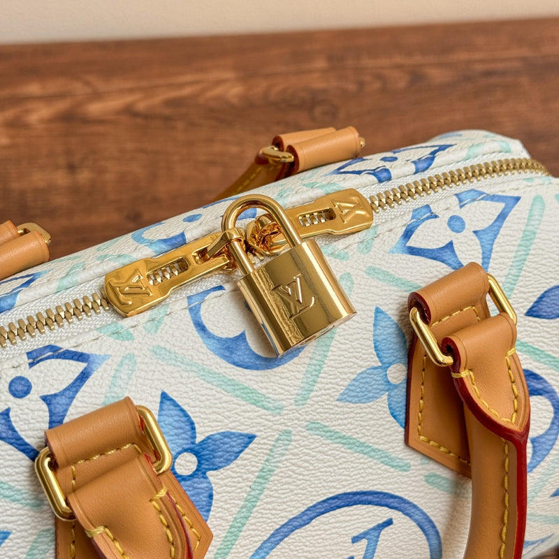 LV BAG