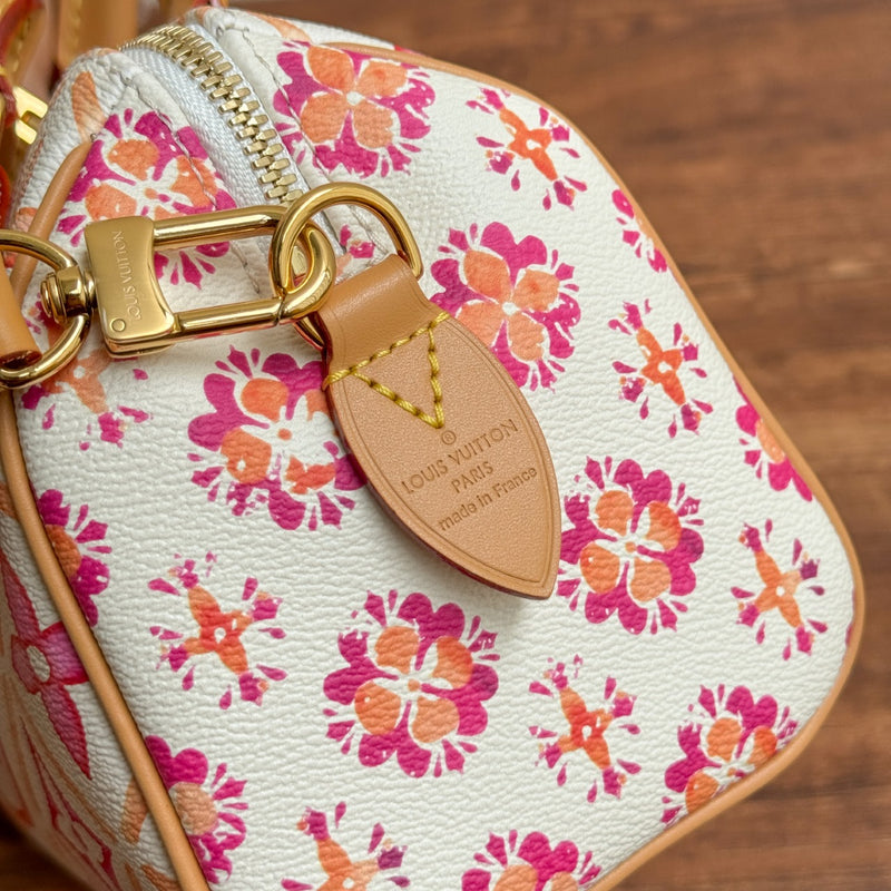 LV BAG