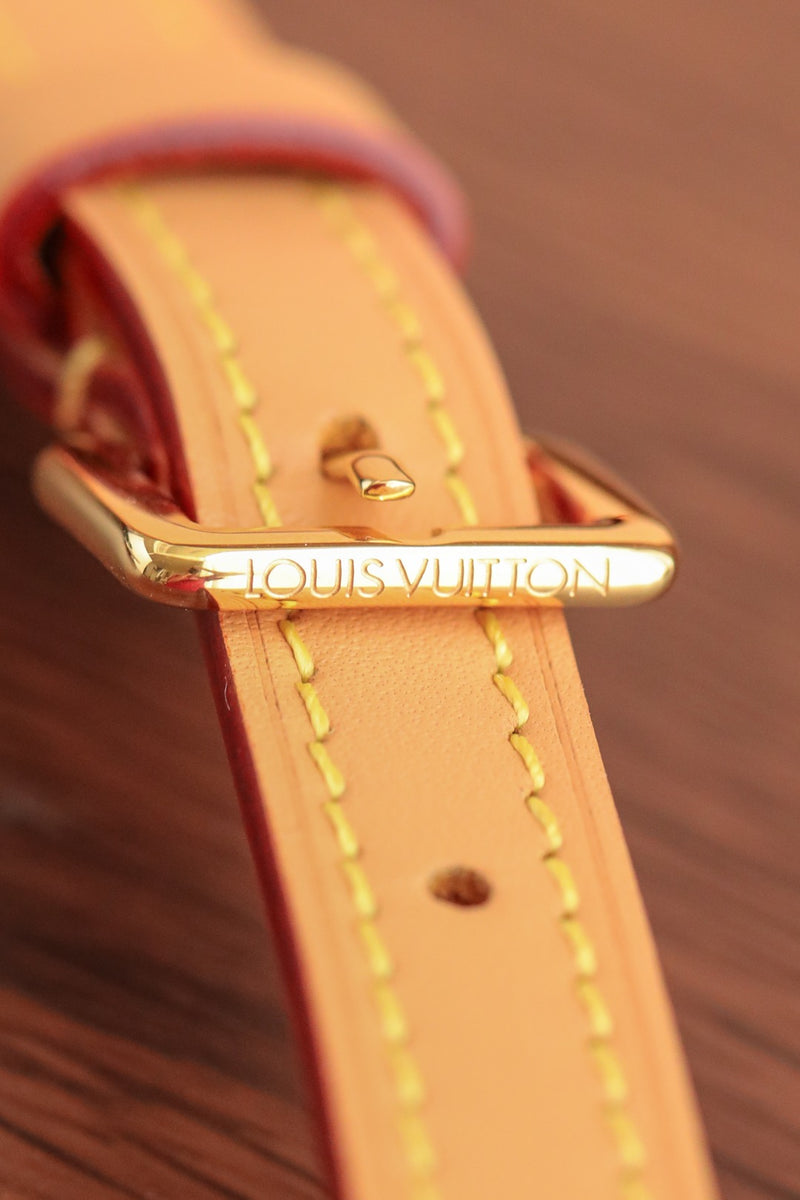 LV Bag